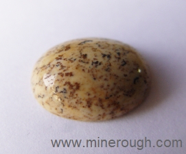 dotted jasper cabochon