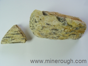 leopard skin rough